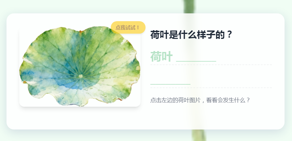 《荷叶圆圆》